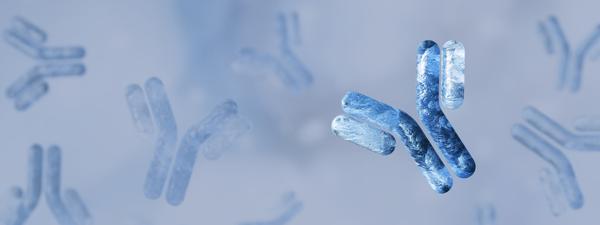 Hysorptase®