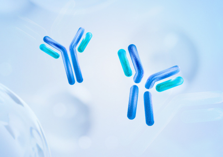 Recombinant IgG Cleaving Enzyme