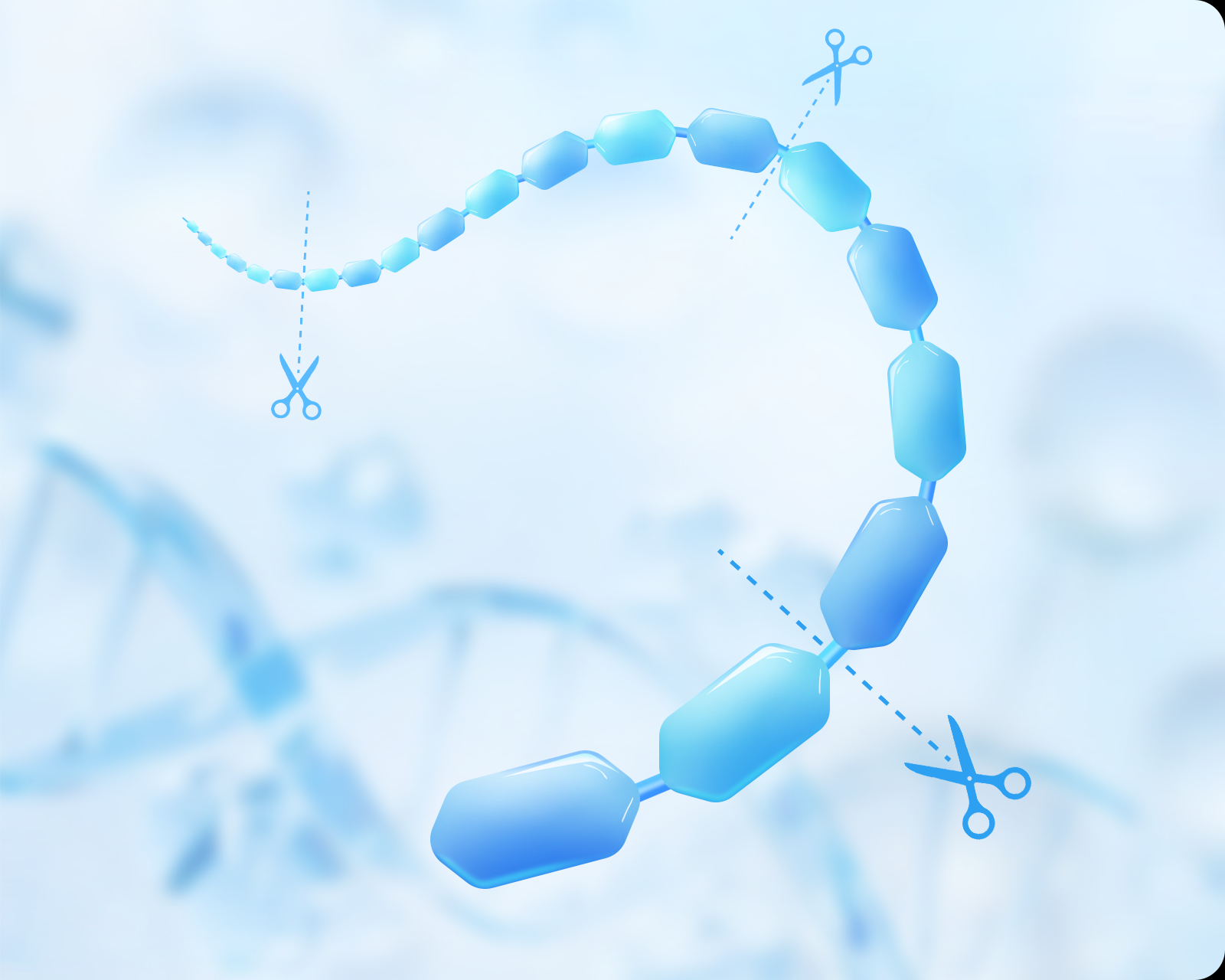 【News】Bao Pharma's Recombinant Human Hyaluronidase Successfully Registered in the U.S. FDA DMF
